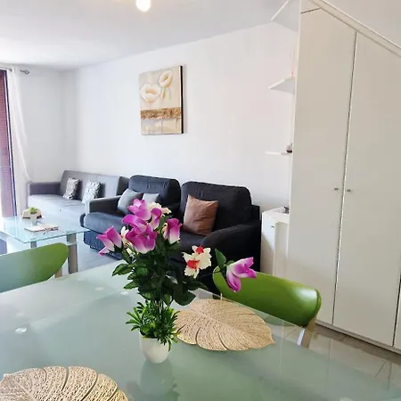 Duplex Parque Santiago Pool View Big Terrace Appartement Playa de las Américas